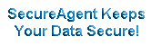 SecureAgent Software's Products